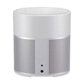 Bose Home Speaker 300 Plata Lujoso